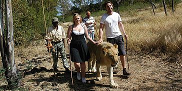 Walking with Lions Adventure in Mauritius Walking with Lions Adventure in Mauritius